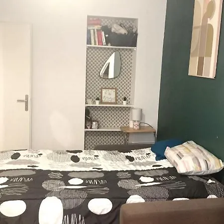 En Haussmannien En Centre Guest house Saint-Etienne (Loire)