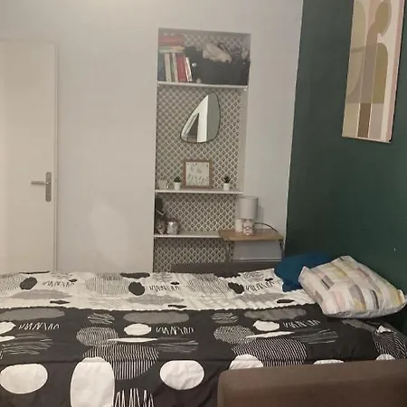 Guest house En Haussmannien En Centre Saint-Etienne (Loire)